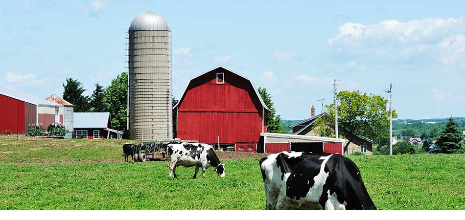 Legislators Urge Funding Livestock Program